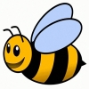socialbee