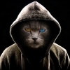 SEOexpert2020